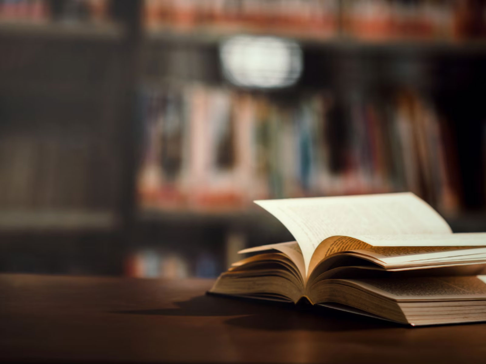 Barah Editora - Ilustração